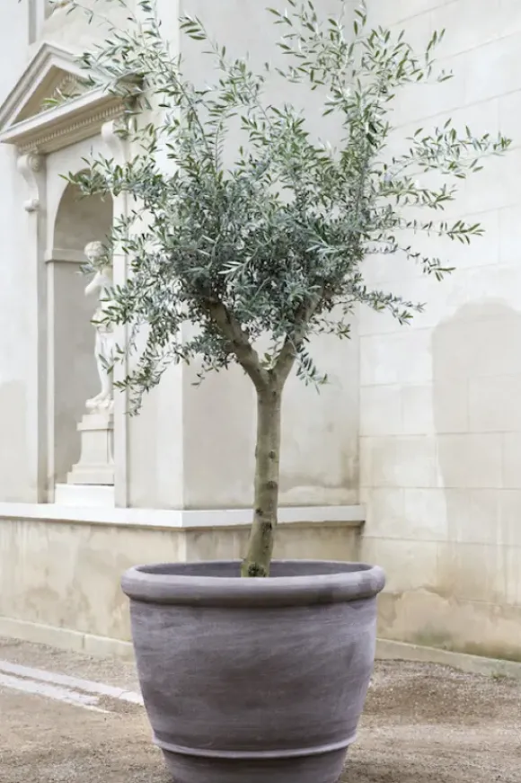 Bergs Potter - ruukku Campana RAW Grey, Ø 60 cm