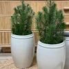 Tine K Home - Korkea ruukku 33cm, valkoinen